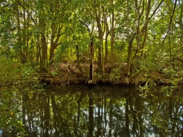 Fourth view of Homely land listing, 11 Bridge Street, Stroud NSW 2425