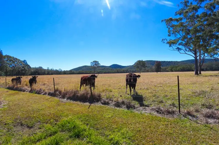 Fifth view of Homely rural property listing, 326 Violet Hill Road, Boolambayte NSW 2423