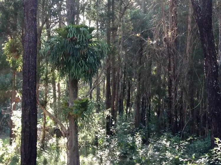 Lot 63 Locketts Crossing Road, Coolongolook NSW 2423