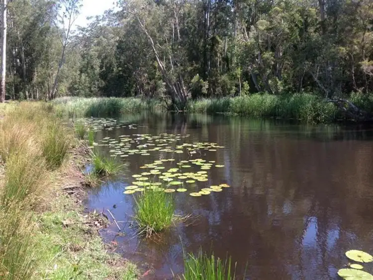 Second view of Homely rural property listing, 312 Violet Hill Road, Boolambayte NSW 2423