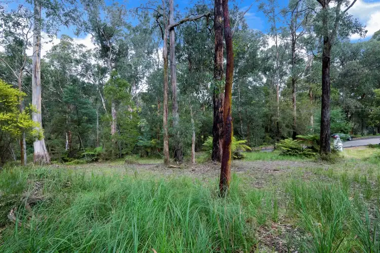 Second view of Homely land listing, 205 Britannia Creek Road, Wesburn VIC 3799