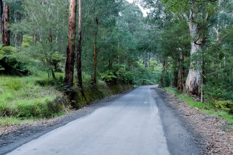 Fifth view of Homely land listing, 205 Britannia Creek Road, Wesburn VIC 3799