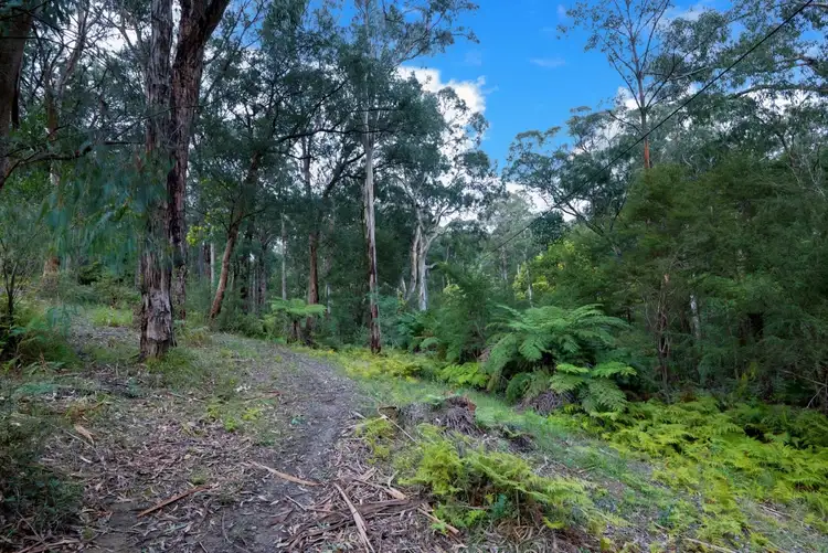 Seventh view of Homely land listing, 205 Britannia Creek Road, Wesburn VIC 3799