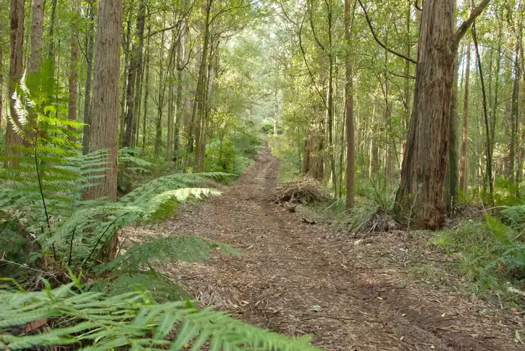 Fourth view of Homely land listing, 1055 Don Road, Healesville VIC 3777