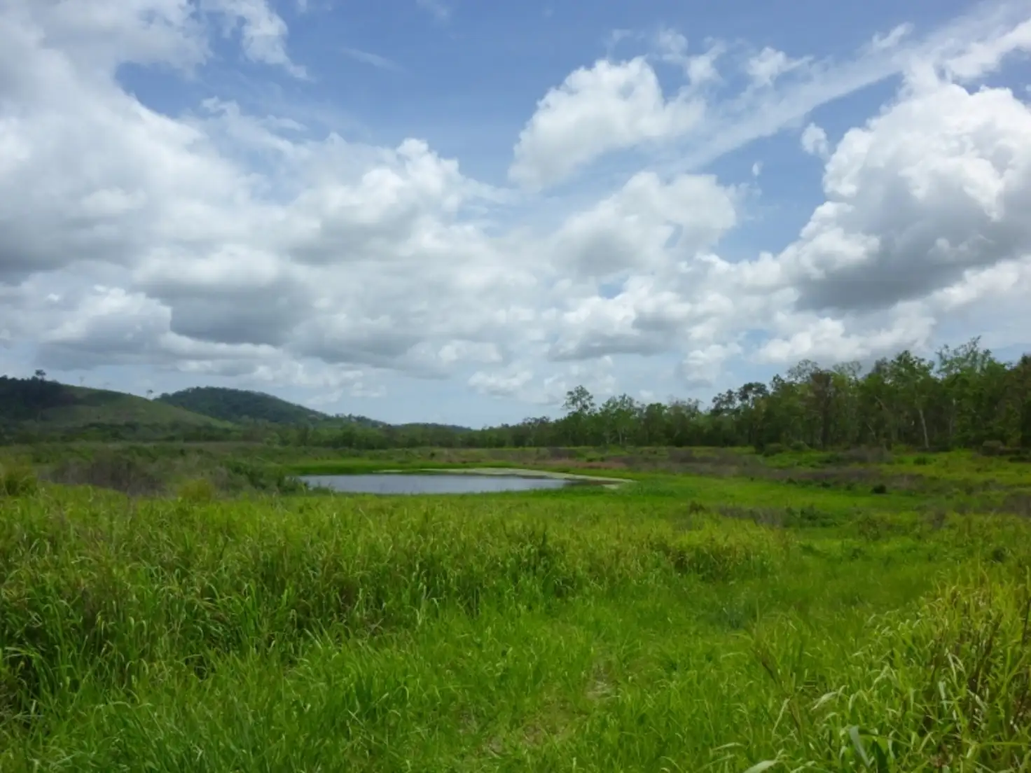 Main view of Homely land listing, 31 Sichter Road, Sarina QLD 4737
