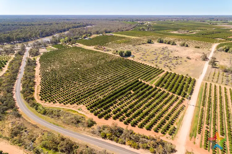 Seventh view of Homely rural property listing, 2940 Kulkyne Way, Colignan VIC 3494