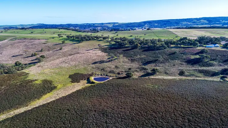 Sixth view of Homely rural property listing, 388 Lanacoona Road, Pages Flat SA 5172