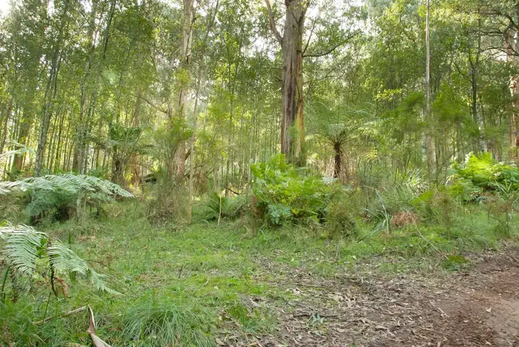 Fifth view of Homely land listing, 1055 Don Road, Healesville VIC 3777
