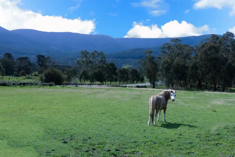 Sixth view of Homely house listing, 5 The Crescent, Wesburn VIC 3799