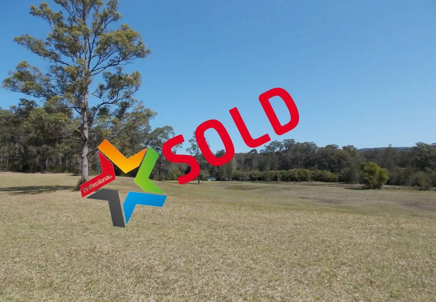 Main view of Homely rural property listing, 366 Minimbah West Branch Road, Minimbah NSW 2312