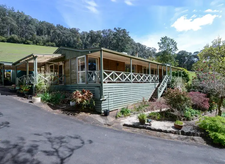 170 Big Pats Creek Road, Big Pats Creek VIC 3799