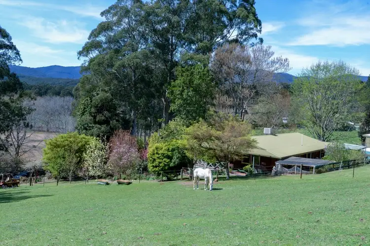 Fourth view of Homely house listing, 170 Big Pats Creek Road, Big Pats Creek VIC 3799