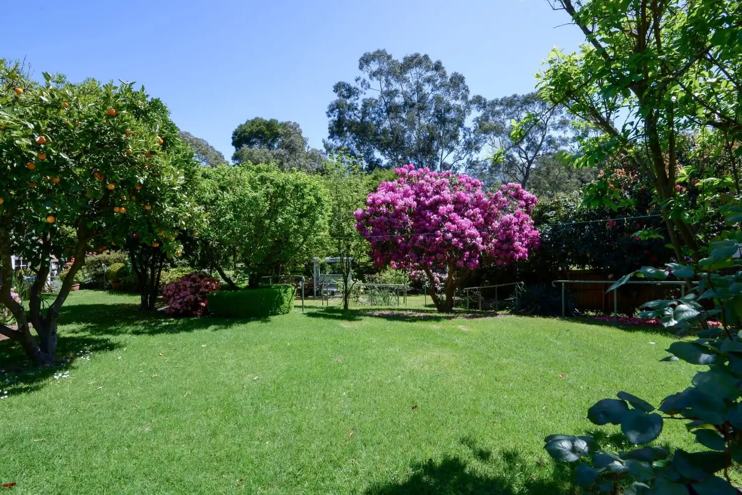 Main view of Homely land listing, 3 Wonga Road, Millgrove VIC 3799