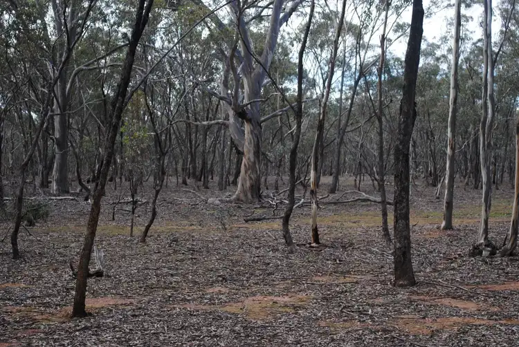 Sixth view of Homely land listing, 155 Longs Road, Wareek VIC 3465