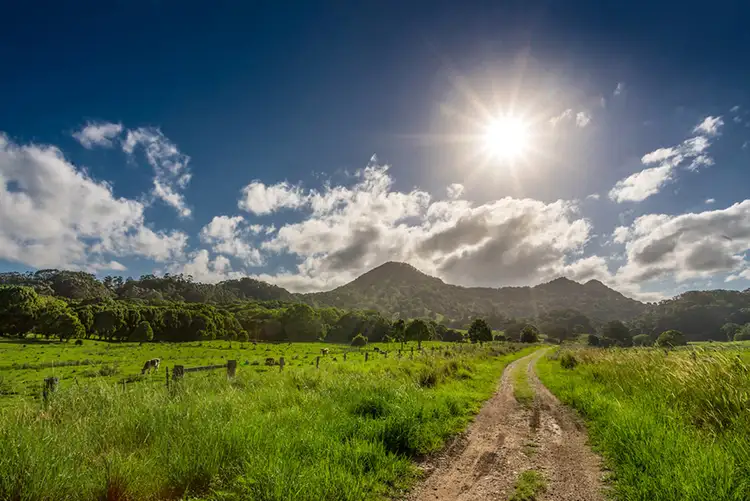 Fifth view of Homely rural property listing, 103 Dudgeons Road, Mullumbimby NSW 2482