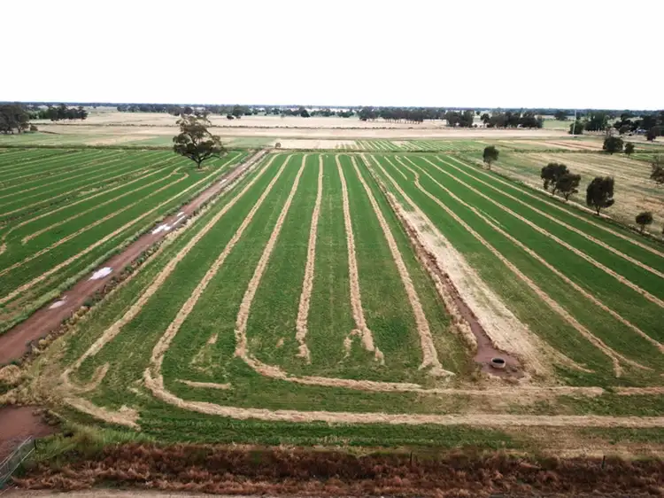 Second view of Homely rural property listing, 435 Centre Road, Nathalia VIC 3638