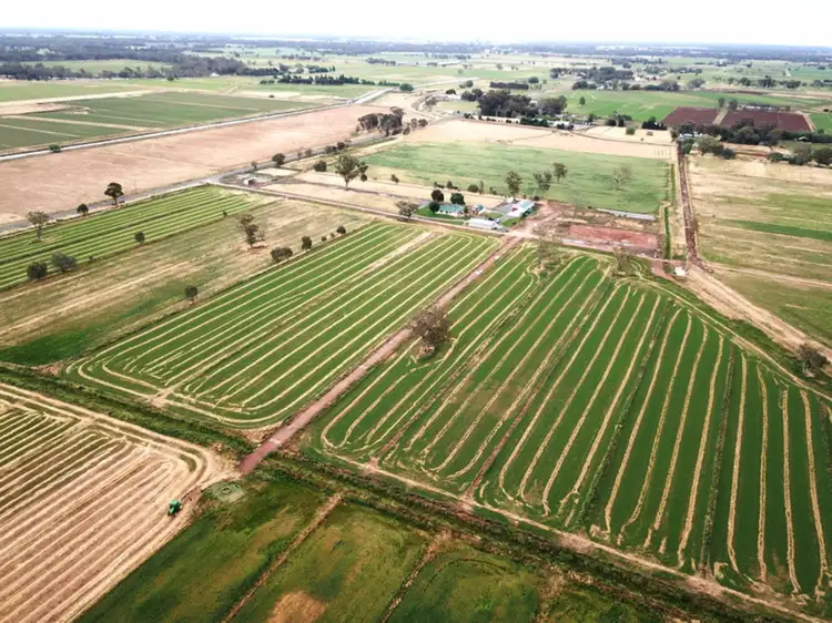 Third view of Homely rural property listing, 435 Centre Road, Nathalia VIC 3638