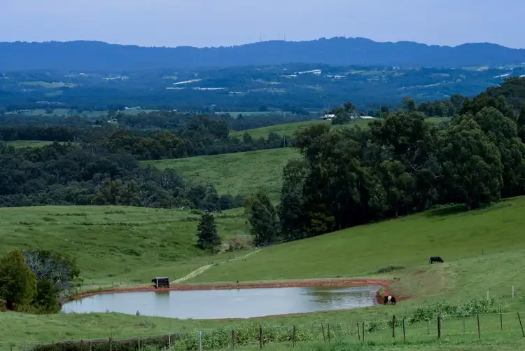 Third view of Homely house listing, 135 Worlley Road, Hoddles Creek VIC 3139