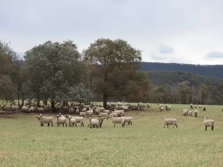 Second view of Homely rural property listing, Lot 4 Towrang Road, Towrang NSW 2580