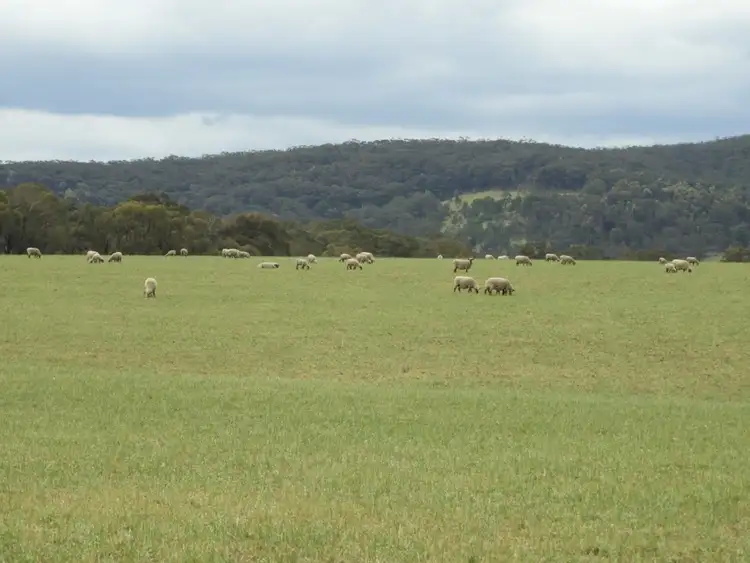 Fourth view of Homely rural property listing, Lot 4 Towrang Road, Towrang NSW 2580