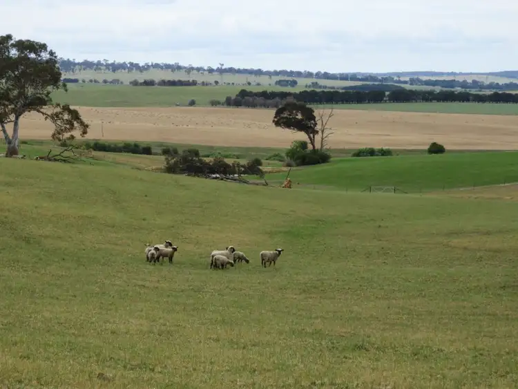 Fifth view of Homely rural property listing, Lot 4 Towrang Road, Towrang NSW 2580