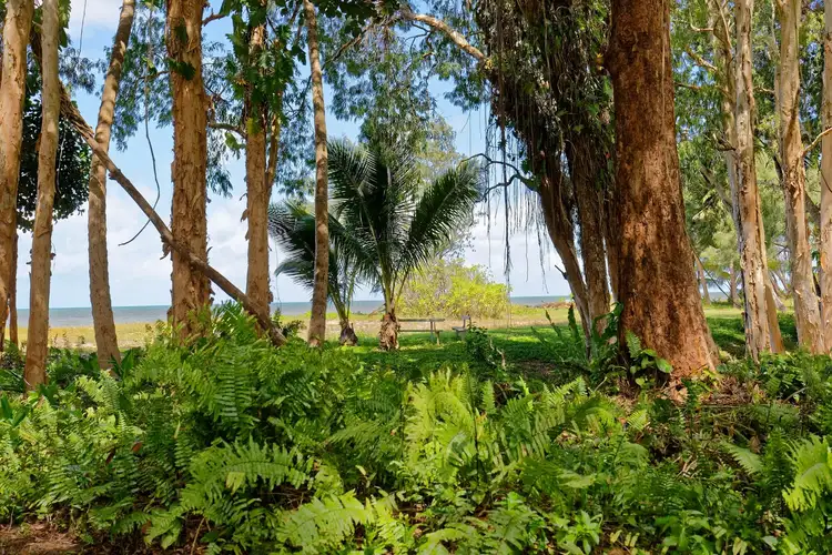 Fifth view of Homely house listing, 44 Evans Road, Bramston Beach QLD 4871