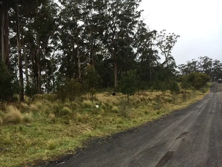 Third view of Homely rural property listing, Lot 1 Braidwood Road, Sassafras NSW 2622