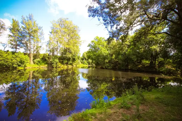 Fifth view of Homely rural property listing, 280 Stroud Hill Road, Stroud NSW 2425