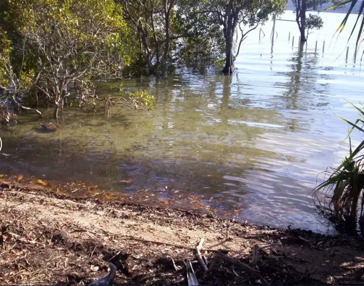 Third view of Homely land listing, 5 Goodsell Crescent, Lamb Island QLD 4184