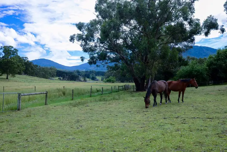 Fourth view of Homely house listing, 45 Farm Lane, Don Valley VIC 3139