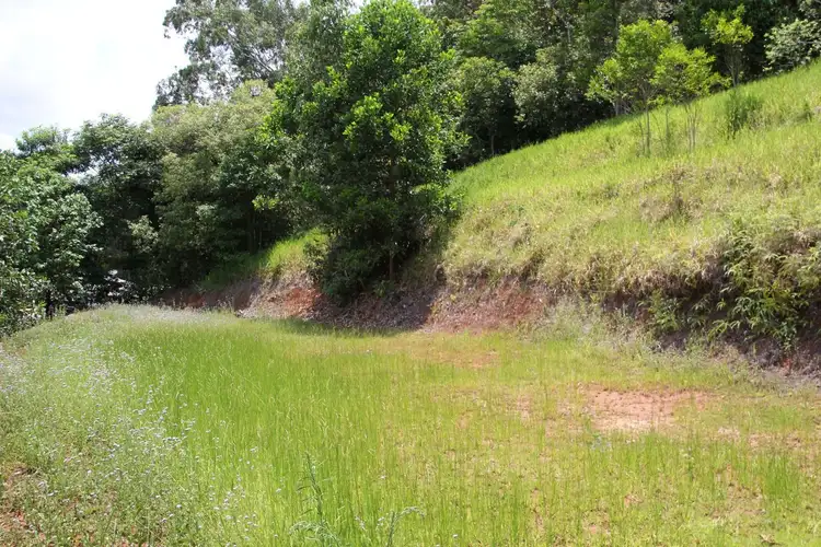 Seventh view of Homely land listing, 38 CAESAR Street, Bentley Park QLD 4869