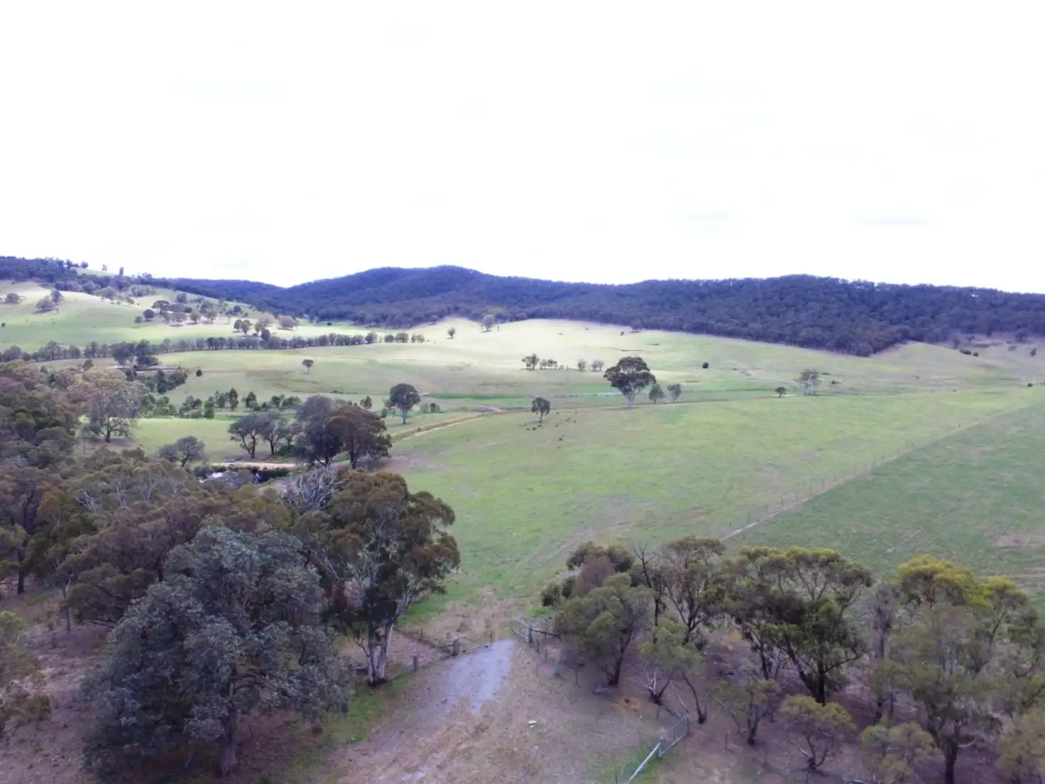 Main view of Homely rural property listing, Lot 3 Towrang Road, Towrang NSW 2580