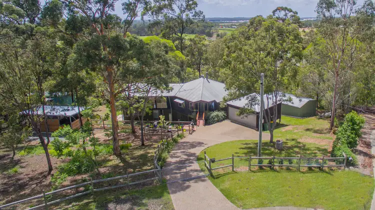 14 Carinya Court, Pimpama QLD 4209