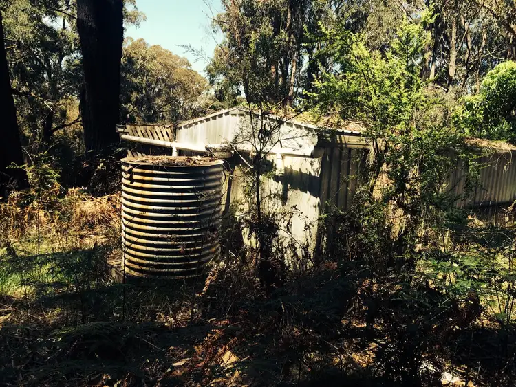 Third view of Homely rural property listing, Lot 1 Whitelaws Track, Budgeree VIC 3870