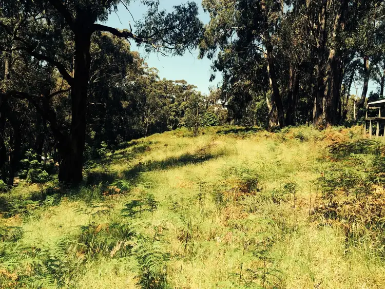 Fifth view of Homely rural property listing, Lot 1 Whitelaws Track, Budgeree VIC 3870