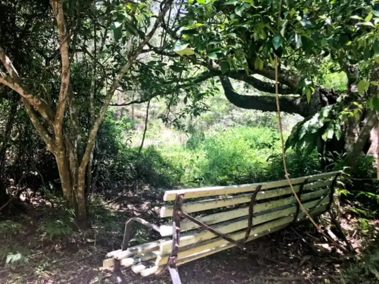 Third view of Homely rural property listing, 2449 The Bucketts Way, Wards River NSW 2422