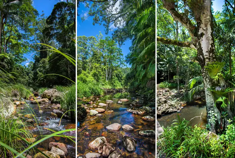 526 Huonbrook Road, Huonbrook NSW 2482