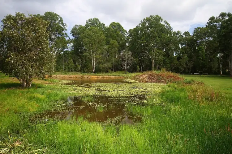 Seventh view of Homely land listing, 132 Settlement Road, Curra QLD 4570