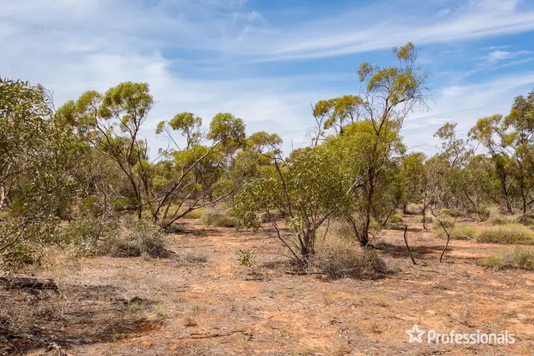 Third view of Homely rural property listing, 129 & 130 Castle Crossing Road, Nangiloc VIC 3494