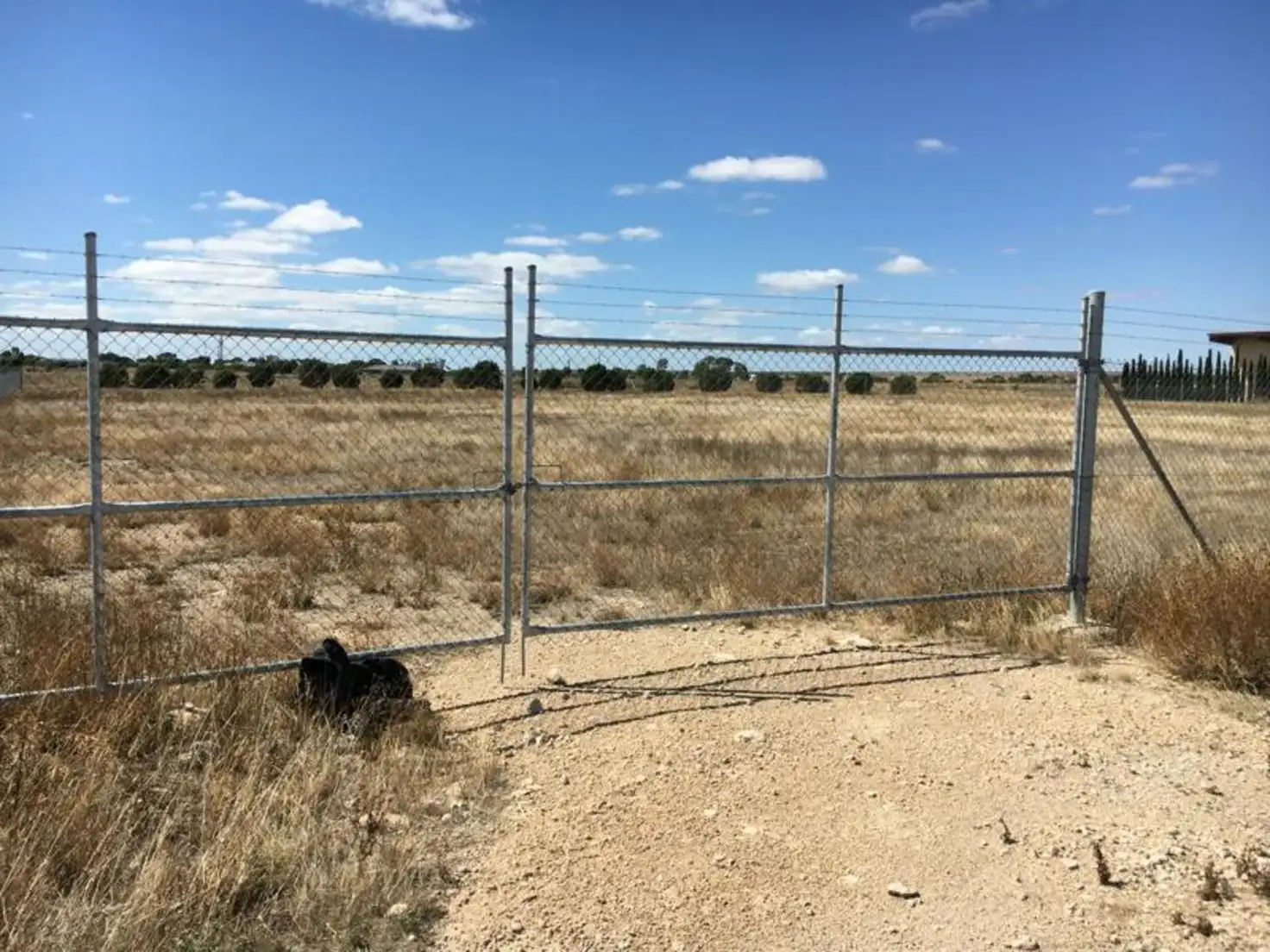 Main view of Homely rural property listing, Lot 60 Big Olive Grove, Tailem Bend SA 5260