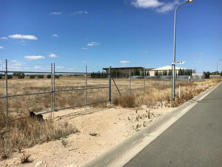 Second view of Homely rural property listing, Lot 60 Big Olive Grove, Tailem Bend SA 5260
