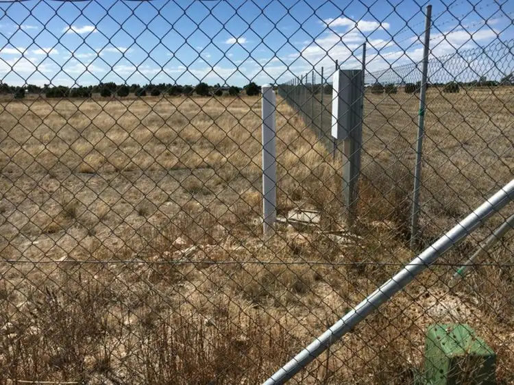Fourth view of Homely rural property listing, Lot 60 Big Olive Grove, Tailem Bend SA 5260
