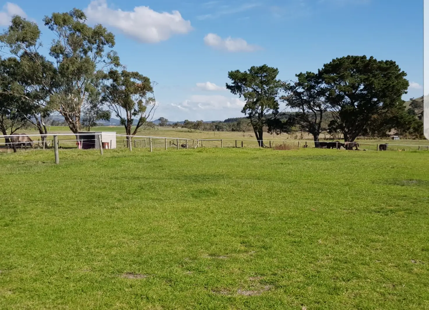 Main view of Homely rural property listing, 811 Pages Flat Road, Myponga SA 5202