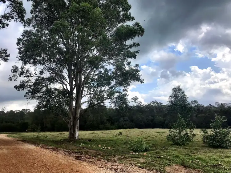 Third view of Homely rural property listing, Lots 2 & 3 Black Camp Road, Nooroo NSW 2415