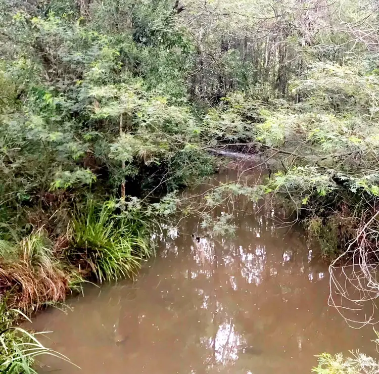 Seventh view of Homely rural property listing, Lots 2 & 3 Black Camp Road, Nooroo NSW 2415