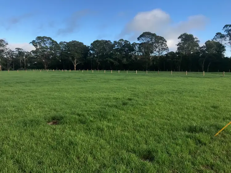 Proposed Lots 5 & 8 Mill Creek Road, Stroud NSW 2425