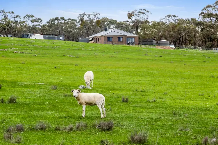 Second view of Homely house listing, Lot/6 Lynch Lane, Axedale VIC 3551