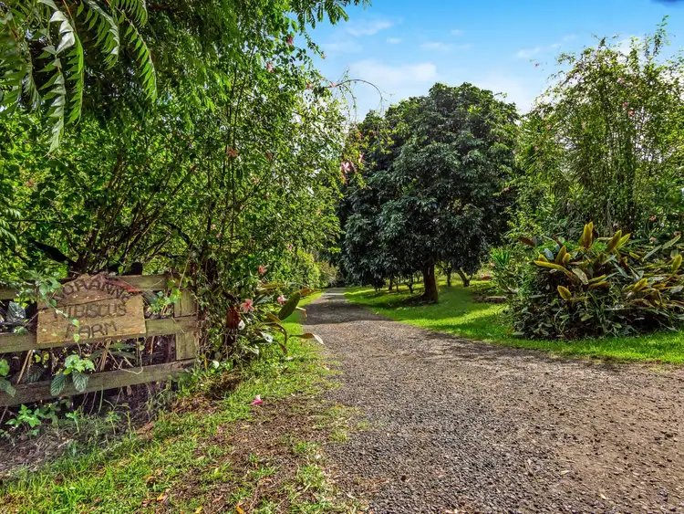 509 Rosebank Road, Rosebank NSW 2480