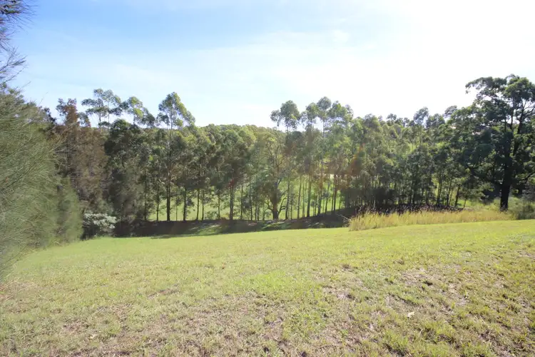 Third view of Homely land listing, 5 Bottle Brush Lane, Tallwoods Village NSW 2430