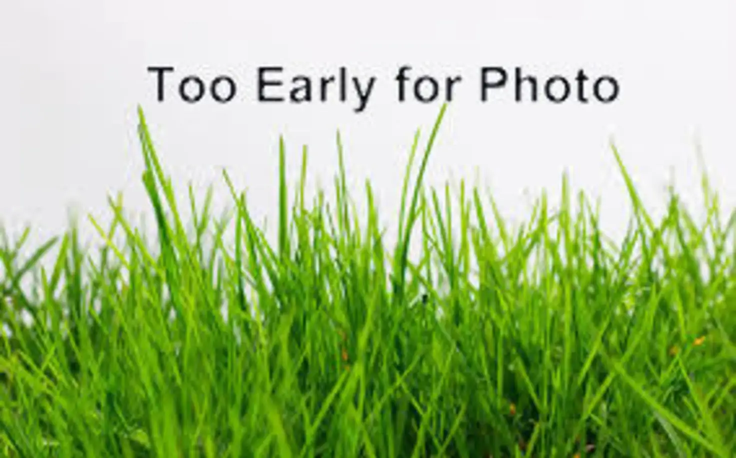 Main view of Homely land listing, Address available on request